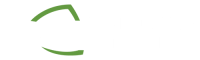 logo falconstema